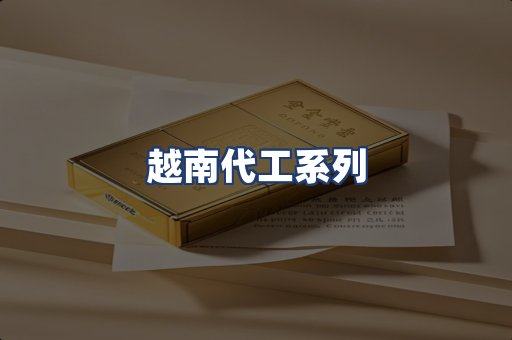 越南代工系列